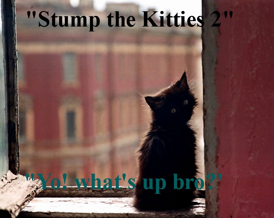 kittyguy77's tweet image. oldies as still sick with this bug