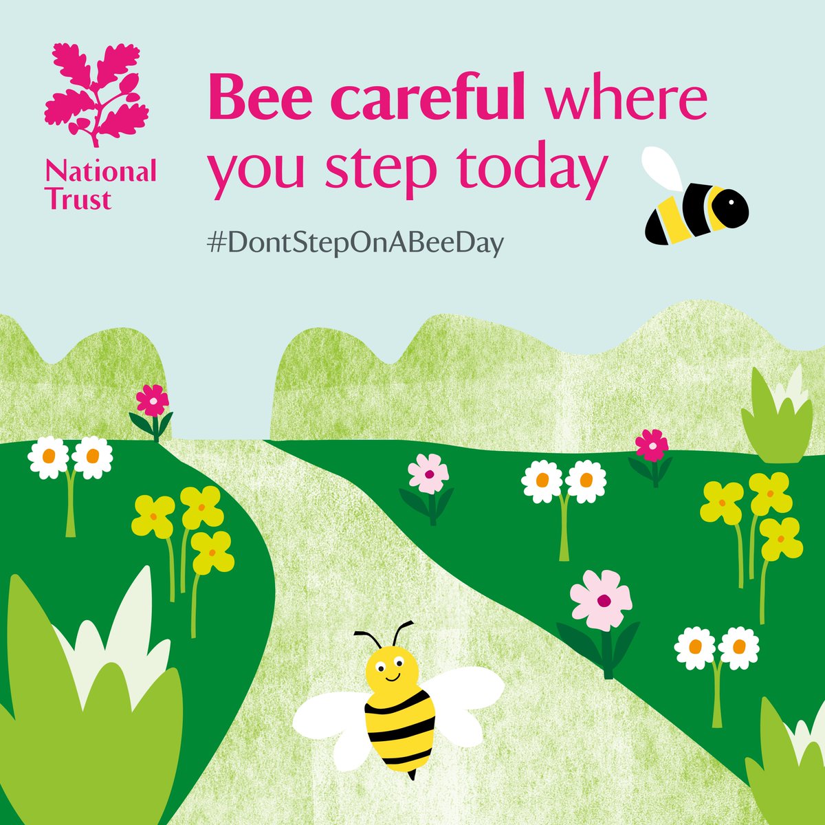 AscottEstate's tweet photo. Faced with a loss of habitat, it’s more important than ever to look out for our pollinators. Simply planting bee friendly flowers in your garden or window box can make a difference. 

Help us spread the buzz around #DontStepOnABeeDay and share the message. https://t.co/3J2pAGq3J3
