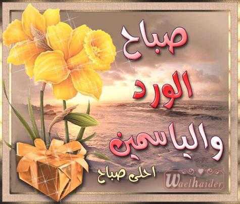 Lost_sukkar's tweet photo. @d1ENKwPkpPJLZRw https://t.co/DxbOJmMkHx