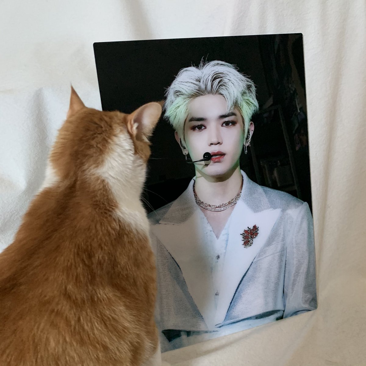 좋은 기회로 일루션아워님 이벤트에 당첨 되어서...💙 예쁜 태용이 액자 보내주셔서 감사합니다 !! 왕크니까 왕예뻐요 (灬ºωº灬)♡ <a href="/IllusionHour/">𝒊𝒍𝒍𝒖𝒔𝒊𝒐𝒏𝒉𝒐𝒖𝒓.</a>