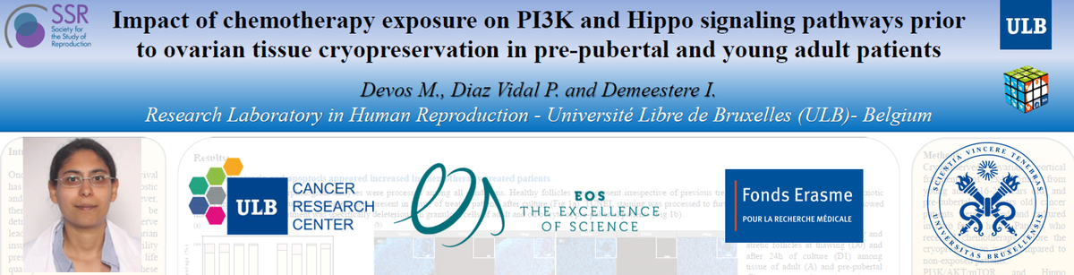 MelodyDevos's tweet photo. Fascinated by signaling? by repro? well! check at #SSRVirtual my poster #2134 on the Impact Of Chemotherapy Exposure On Signaling Pathways governing follicular activation #SSR #Reproduction #Oncology #ULB @OnLaboratory https://t.co/qOpORXZNA1