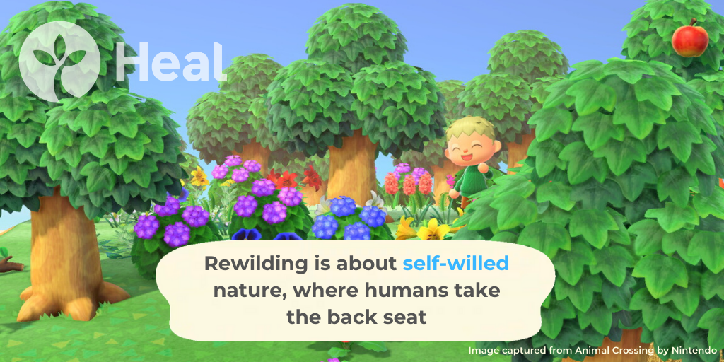 HealRewilding tweet picture
