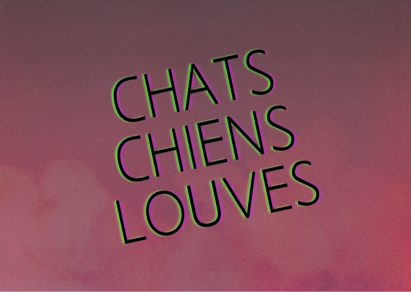 Chats Chiens Louves : venez lire avec nous ! et venez nous écouter ! - mailchi.mp/146eff1440ea/e…