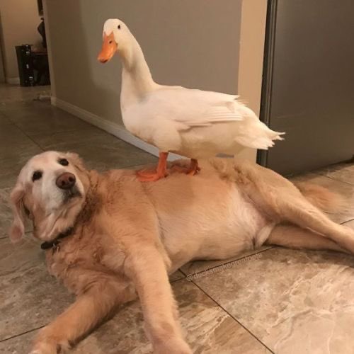 lastclympian's tweet photo. percy and annabeth https://t.co/C8D86lArpk