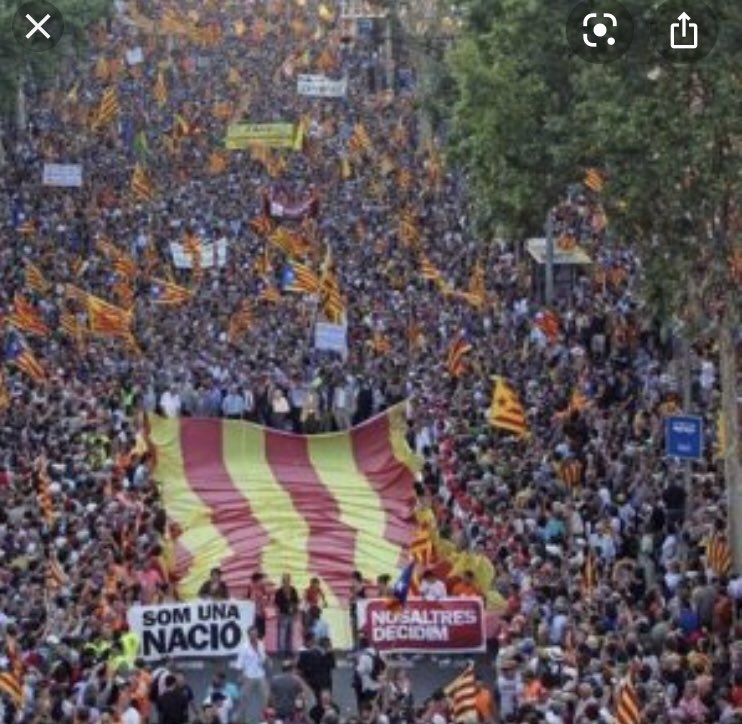 ADIC_Girona 🎗 tweet media