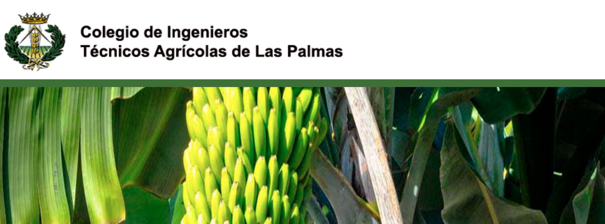 OPTIMIZAPROCESS's tweet photo. El @coitalp da un paso hacia la #digitalización de sus colegiados. Nuestras Apps LIE y LOE serán sus herramientas de Coordinación y de Dirección de Obra de los proyectos agrícolas, de ganadería, bodegas, agroalimentación, jardinería... https://t.co/286K85sx2x