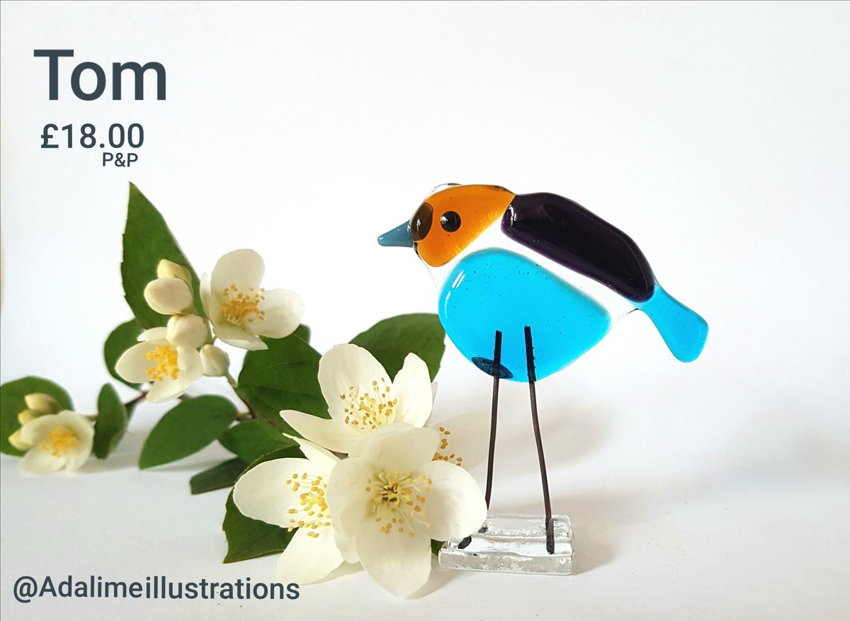 ArtMoira's tweet photo. #giftabirdtoday Tom and Robbie are ready to leave the nest.
DM for details
https://t.co/0PBCJOSD8o
#10thJuly2020 #fridaymorning #Scotland #birding #birdart #repurposematerials #birds #colour_collective #ArtistOnTwitter #gallery #home #decor #FF14 #sharepocket #bird_glass_art https://t.co/q0HT7Sxo8F