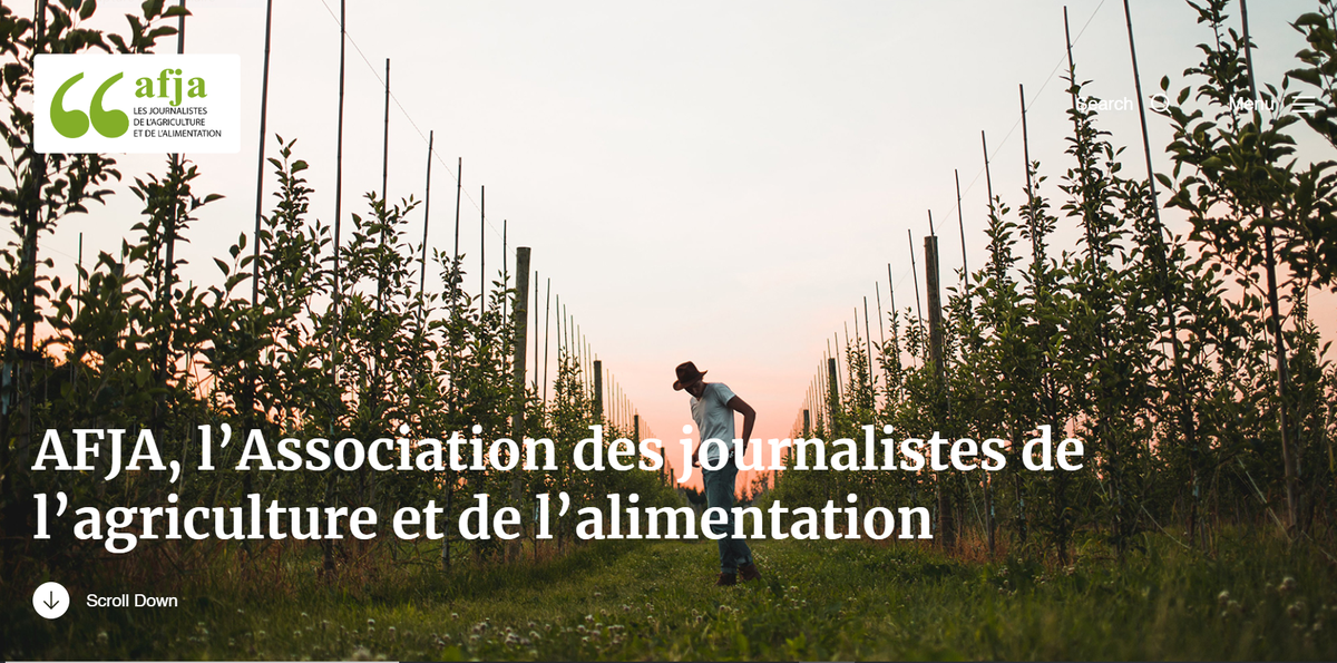 Tout beau, tout neuf : le nouveau site de l’AFJA est en ligne ! afja-asso.fr