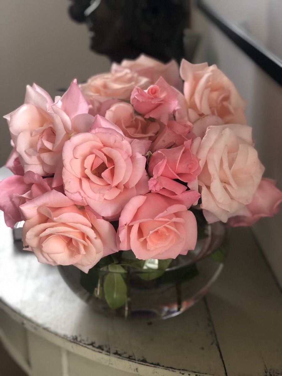 Alex_Hollywood1's tweet photo. I know there’s too many in the bowl but I love them ..#roses #igrewthem https://t.co/ev2jLIdbMp