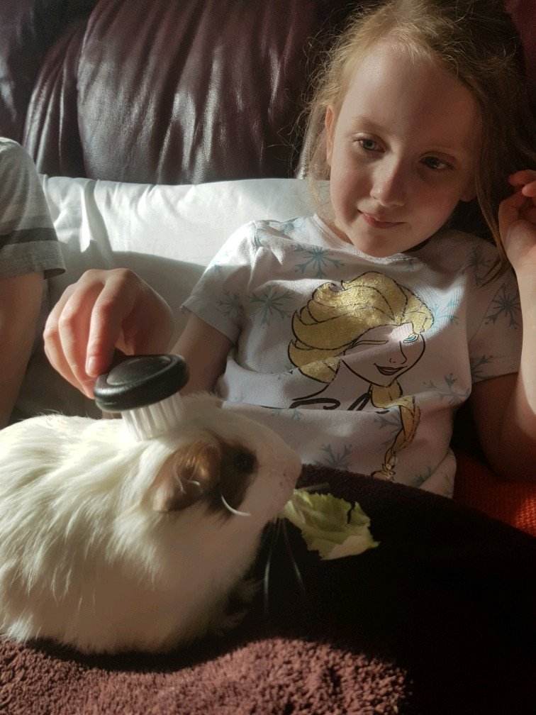 Barrell_SMCA's tweet photo. Another round up of the fabulous work from our superstars this week...!
Here is Tamsyn caring great care of her guinea pig Nougat, and great care of herself with some yoga. 🧘‍♀️ https://t.co/ppxTMje1mi