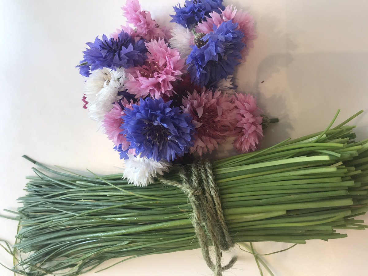 ccookeryschool's tweet photo. Produce grown with love, respect and pride by Jake @SeedToFeedMF. Herbs bound in twine. It made me cry. #realfood #local #oneplanetliving #wilding #organic #sustainable #supportyourlocal #Cambridge https://t.co/vkmbiKA7ee