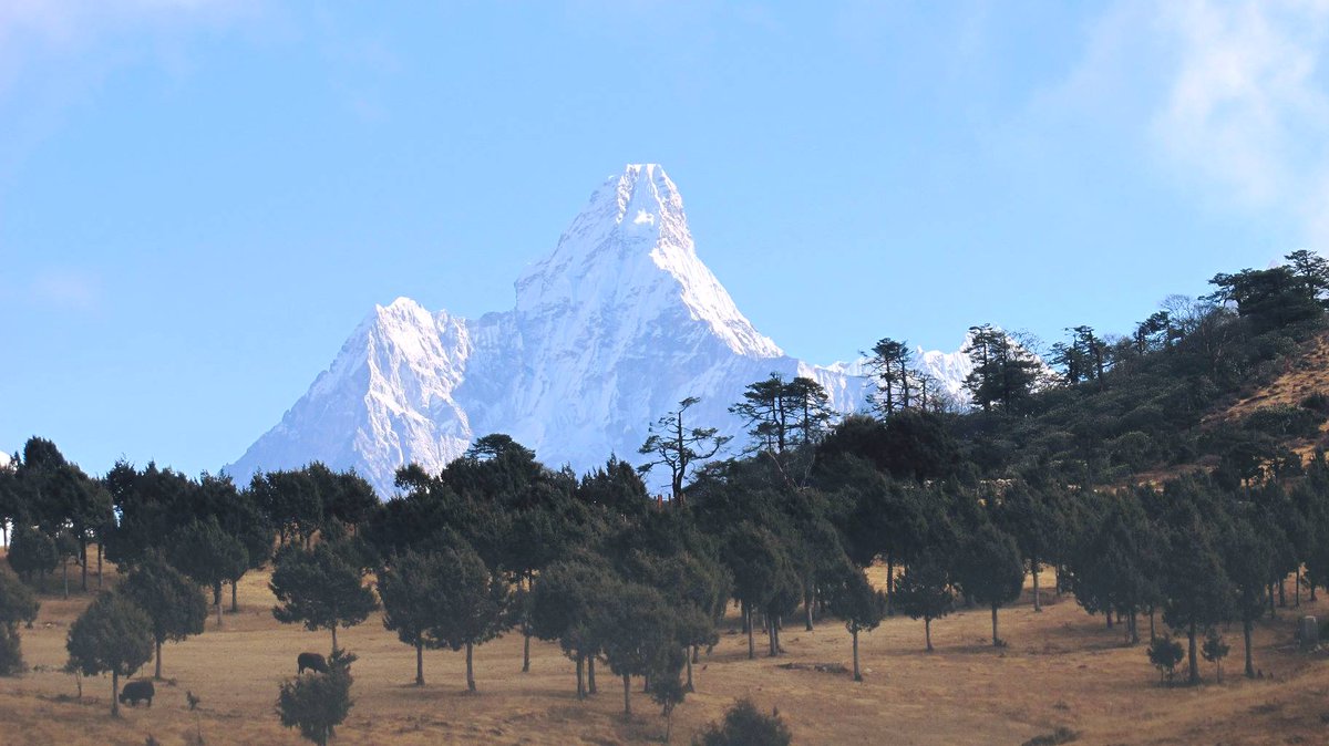 TenzingDom's tweet photo. #Ama #Dablam 6812m is the beautiful mountain Of #Nepal. #EverestPanoramaTrek #EverestViewTrek https://t.co/tQ0LcdnMWN https://t.co/IgumSWPzDC