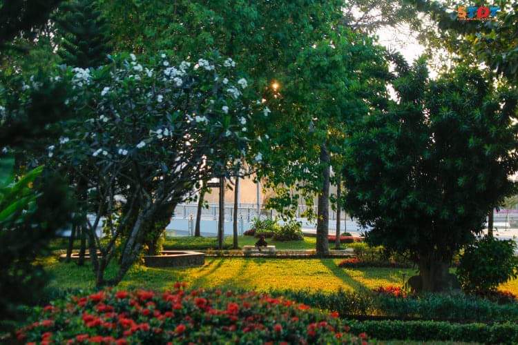 Floral views in TDTU are great inspiration for beautiful photos of flowers you can take  📸 🌺 ☘
#TDTU #TonDucThangUniversity