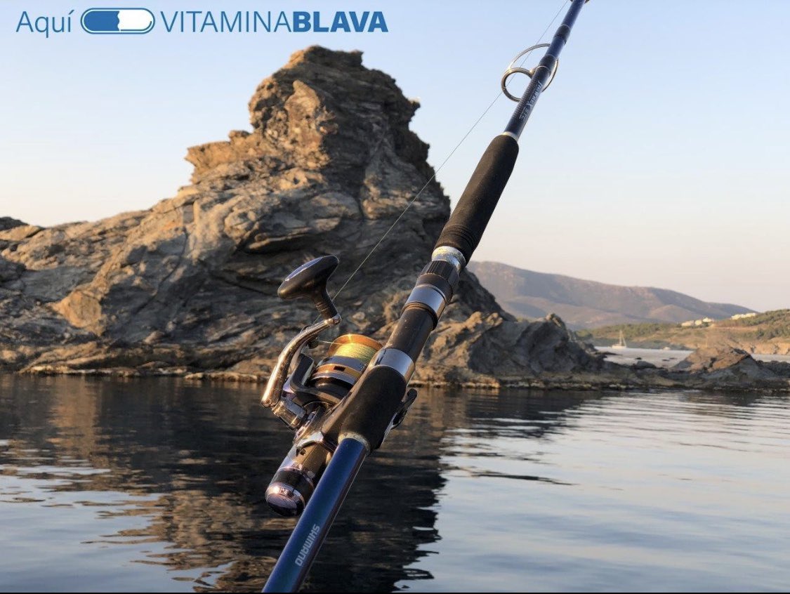 cnllanca's tweet photo. @cnllanca
#Llança
#CapDeCreus
#VitaminaBlava https://t.co/76G8I9MLpM