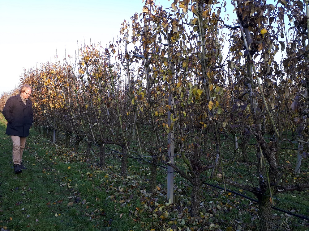 Positief resultaat binnen het innovatieve project Hergebruik spuiwater in de fruitsector. projectenltonoord.nl/vooruitgang-in…