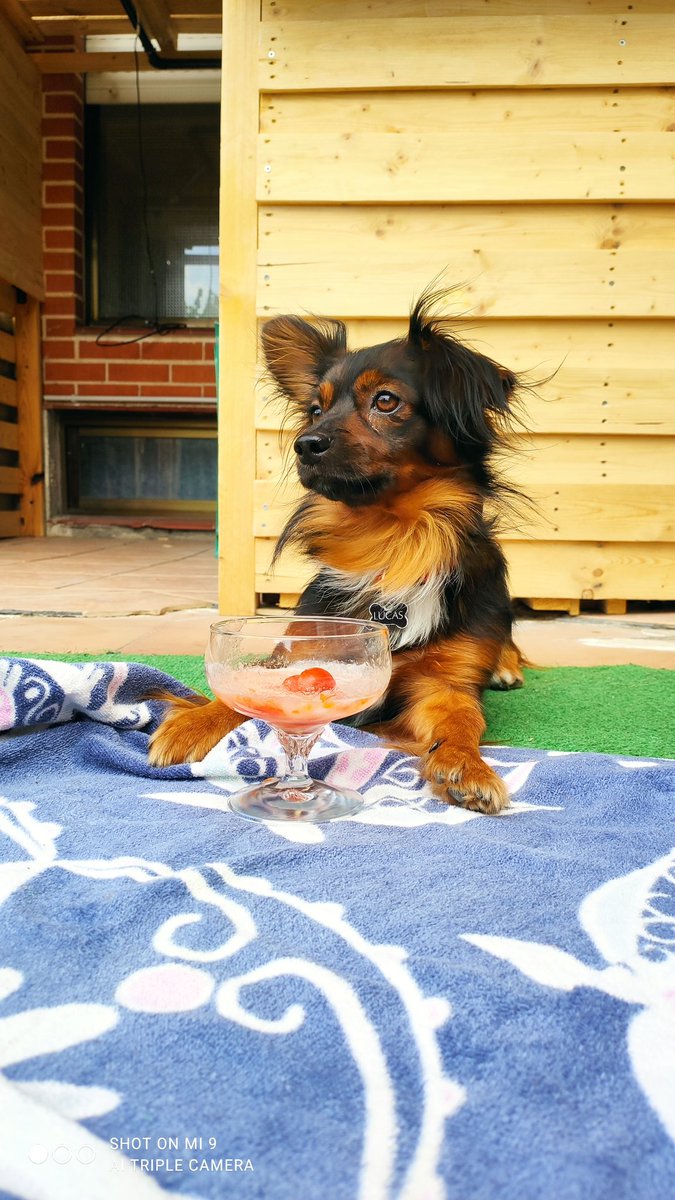 diegozula's tweet image. 😅😅😅