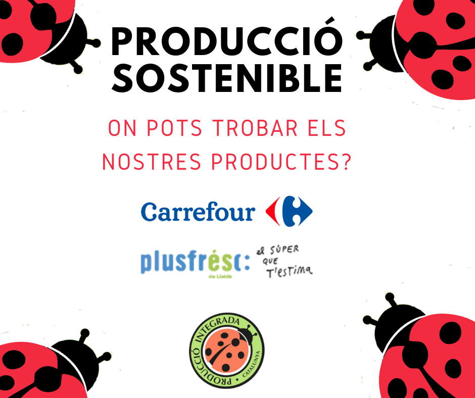 pintegrada's tweet photo. Saps on pots adquirir els productes de Producció Sostenible?
Els trobaràs en els establiments @CarrefourES i @Plusfresc arreu de Catalunya.
#producciointegrada #producciosostenible #marieta https://t.co/UtwQHaw7cY