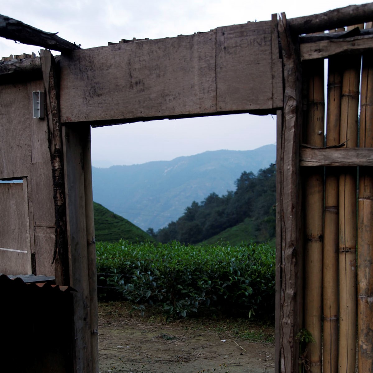 “Without a roof”: the latest blog post by François-Xavier Delmas 👉bit.ly/3iMmouk