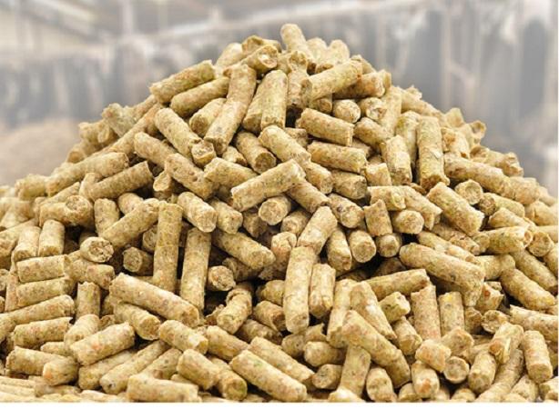RobertStan1988's tweet photo. Animal Feed Additives Market 2020 | How The Industry Will Witness Growth In The Upcoming Years 

The Global Animal Feed Additives Market was valued at USD 37.8 billion in 2019, and is expected to grow at CAGR of 3.2% over the forecast period.
Read More:https://t.co/gnZHwvpVmR https://t.co/4ZInoeTpKa