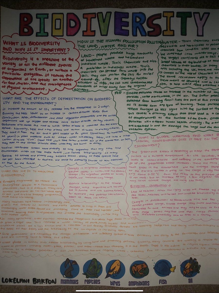 Some great work completed by Lokelani in Year 10 on the topic of biodiversity.