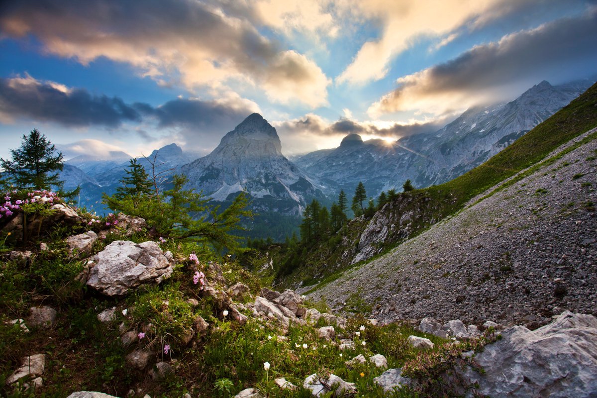 travel_slovenia's tweet photo. TRIGLAV NATIONAL PARK - one of the oldest and most #beautiful national parks in #Europe is located in northwestern #Slovenia and covers 4% of the entire Slovenian territory. (photos: Tomo Jesenicnik, Jost Gantar, Ales Zdesar, Jernej Leben #photography) #nature #travel #mountains https://t.co/xir0x3UiZj