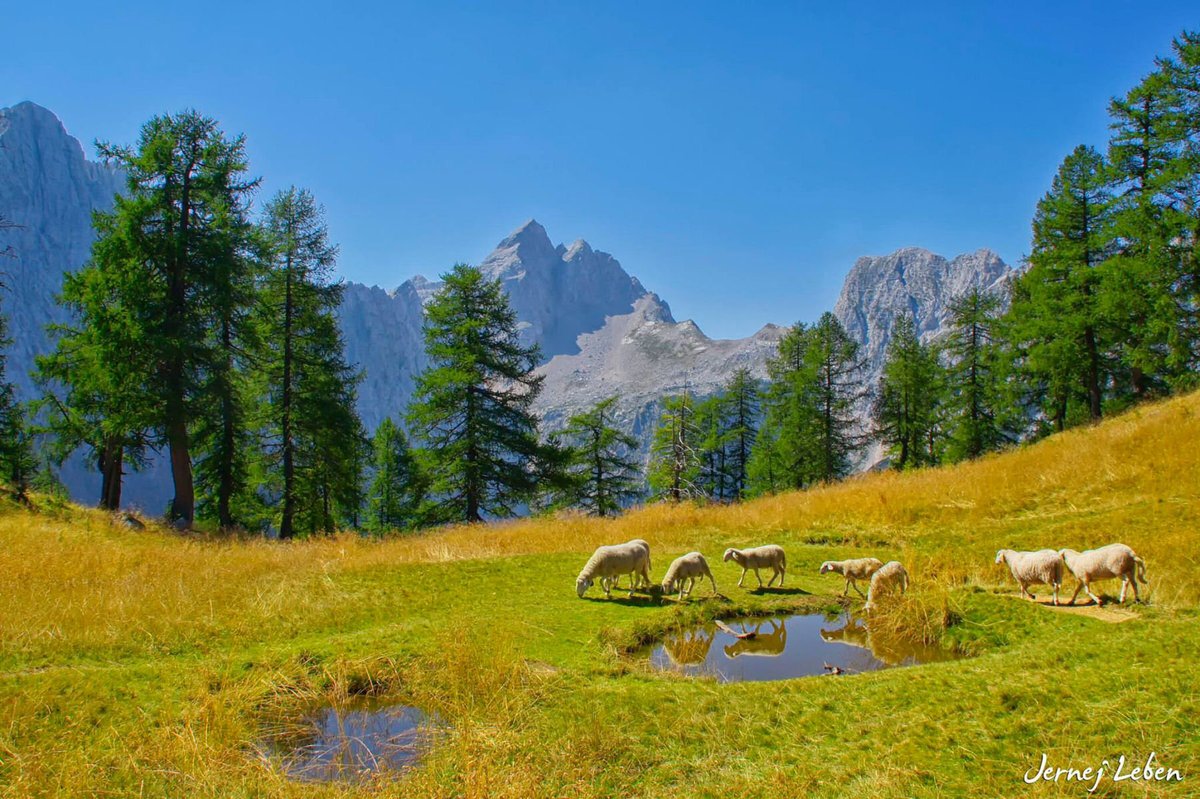 travel_slovenia's tweet photo. TRIGLAV NATIONAL PARK - one of the oldest and most #beautiful national parks in #Europe is located in northwestern #Slovenia and covers 4% of the entire Slovenian territory. (photos: Tomo Jesenicnik, Jost Gantar, Ales Zdesar, Jernej Leben #photography) #nature #travel #mountains https://t.co/xir0x3UiZj