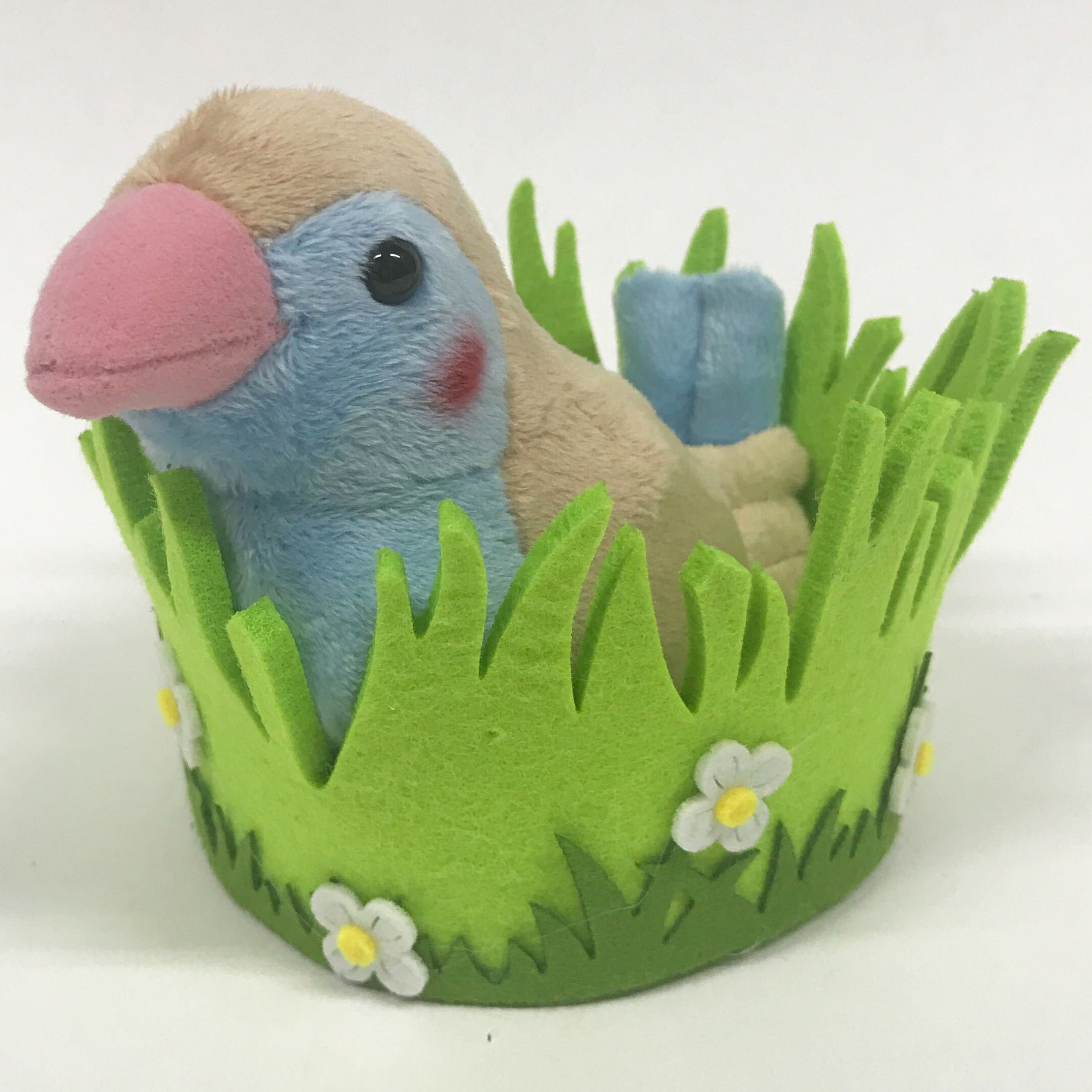 太洋産業貿易 Al Twitter アオアシカツオドリばっかり激プッシュしてますが 小鳥さんも新しく仲間入り 超高速タップダンスによる求愛と真っ赤なほっぺがかわいい セイキチョウ 人気の シマエナガ と並べてかわいいまんまるフォルムの コマドリ ピンクロビン