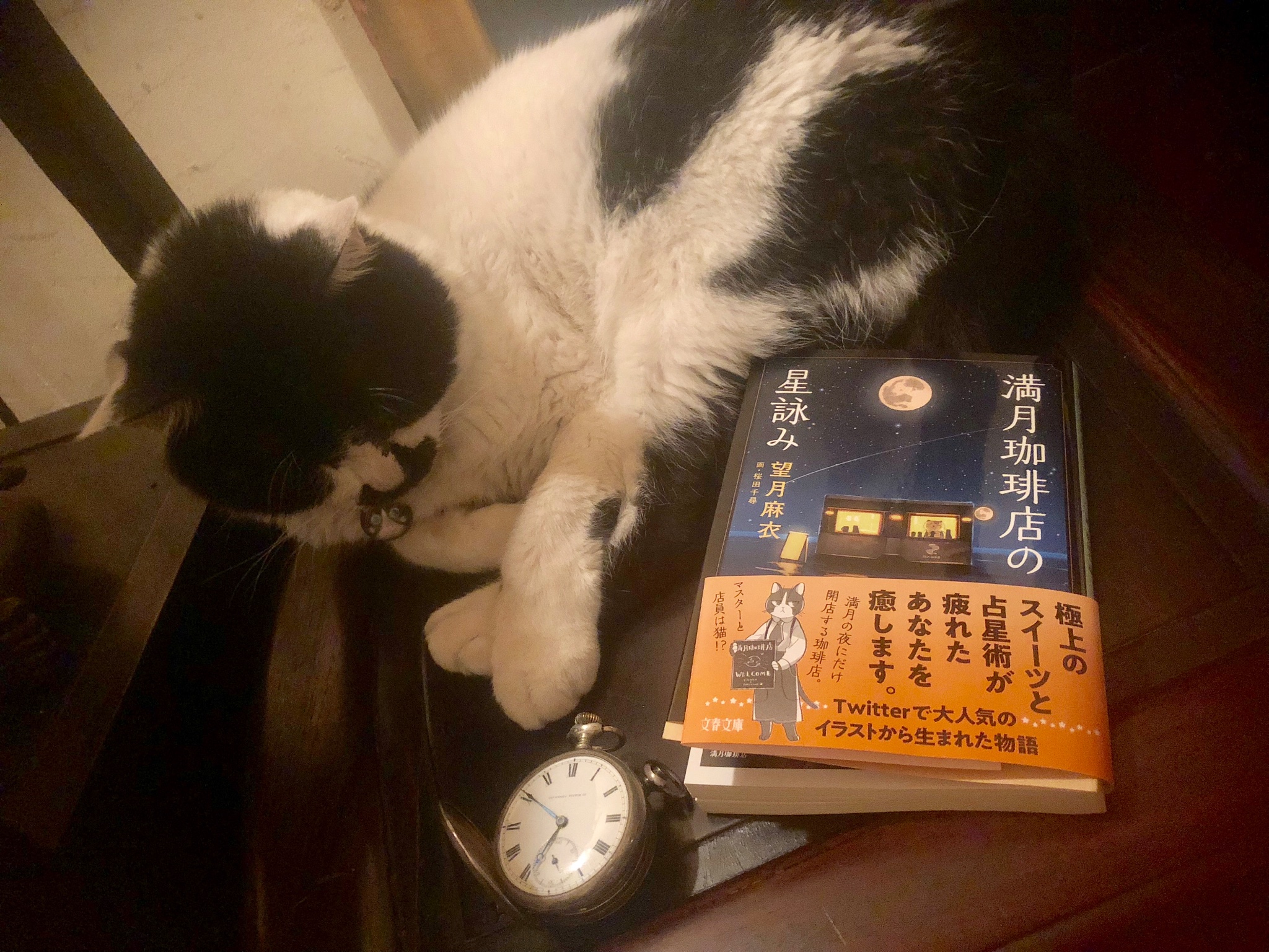 ライト商會 三条店 寺町三条のホームズの作者 望月麻衣先生の新刊 満月珈琲店の星詠みに出てくるsweetとドリンクを再現してみました 物語は満月の夜にのみ猫が珈琲店を営業する話です 満月アイスのフォンダンショコラ 惑星アイスのアフォガード 満月のドーム