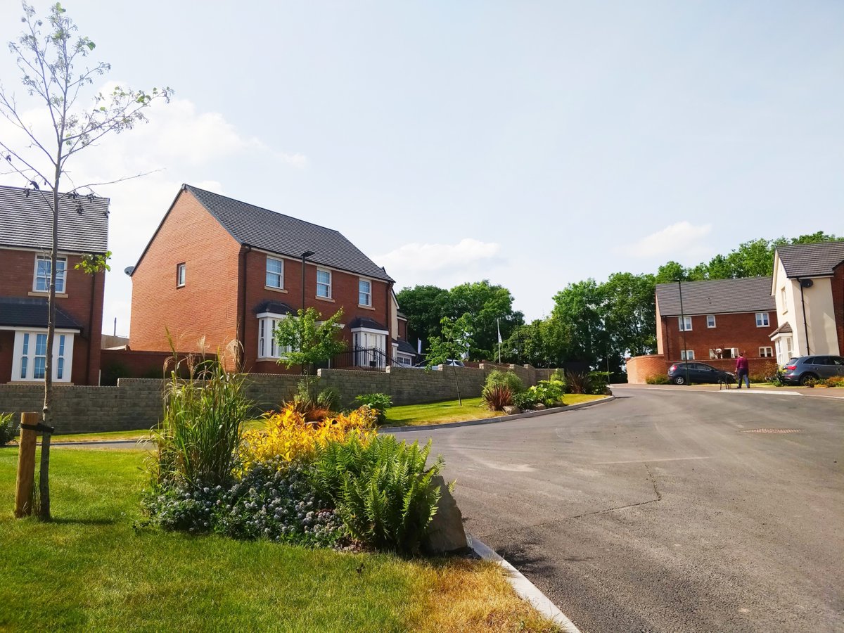 BluebellHomes's tweet photo. Landscaping &amp; wildflower meadows within our development don’t just look good, they provide #homesfornature 🌷🐝. Read about our commitment to the environment &amp; #sustainability via https://t.co/6etYkPw6yP https://t.co/7FGNVHUSJV
