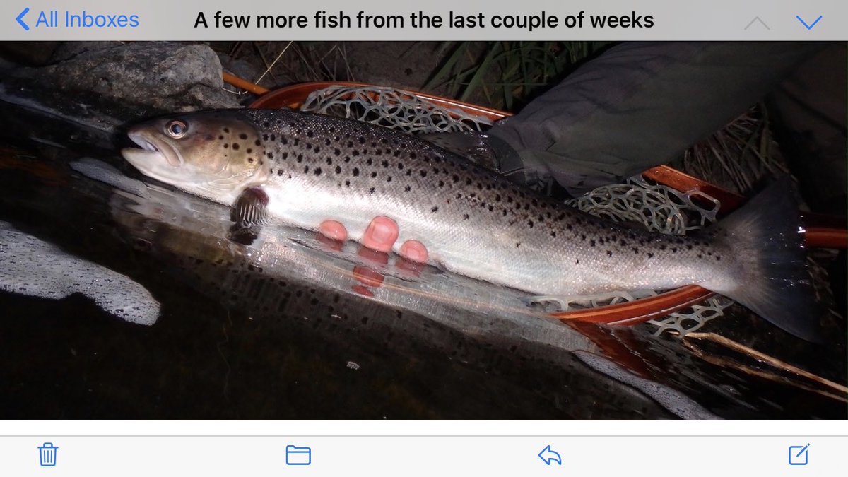 The River Don tweet media