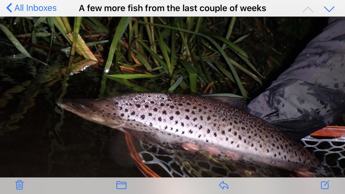 The River Don tweet media