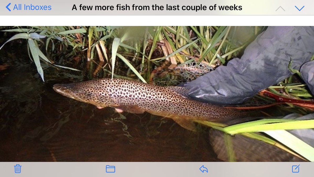 The River Don tweet media