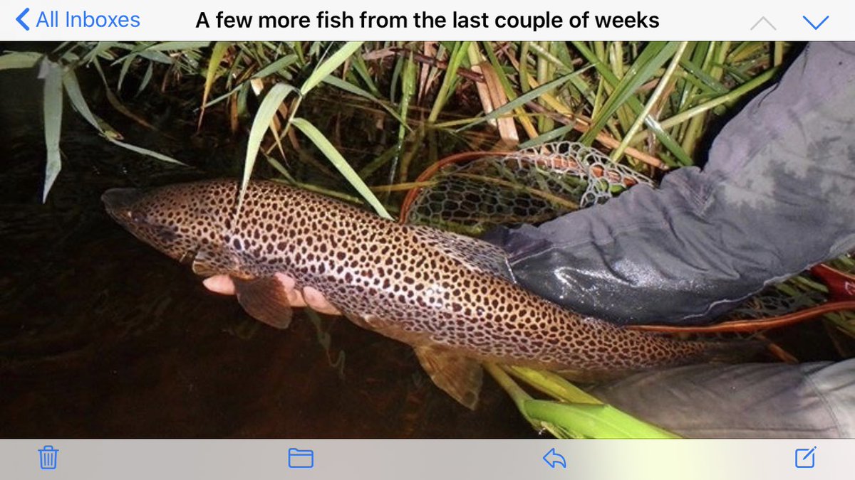 The River Don tweet media