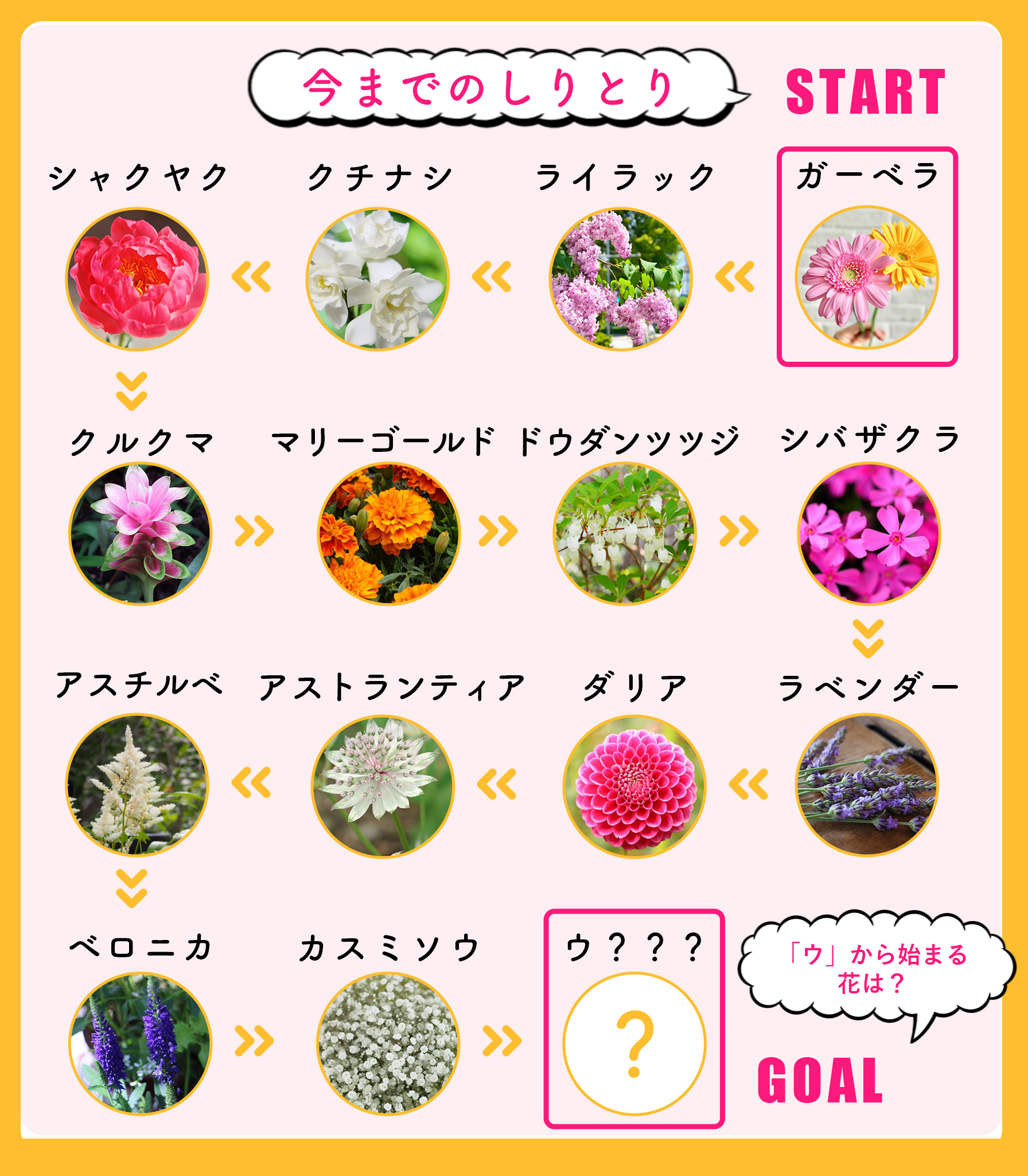 花キューピット I879 Com 公式 花のしりとりキャンペーン 最終日 好きな花だったらフォロー Rt 50名様にamazonギフト券1 000円分が当たる 応募方法 I8791をフォロー この投稿をrt さらに ウ から始まる花の名前をリプライで教え