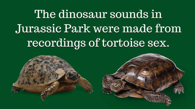 #jurassicpark #jurassic #jurassicworld #dinosaurs #sound #effects #tortoise