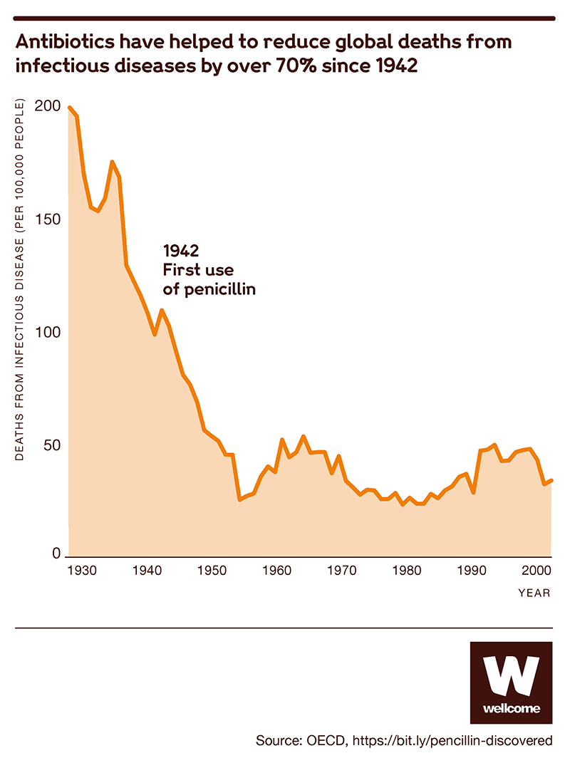 Antibiotics are the foundation of modern medicine  