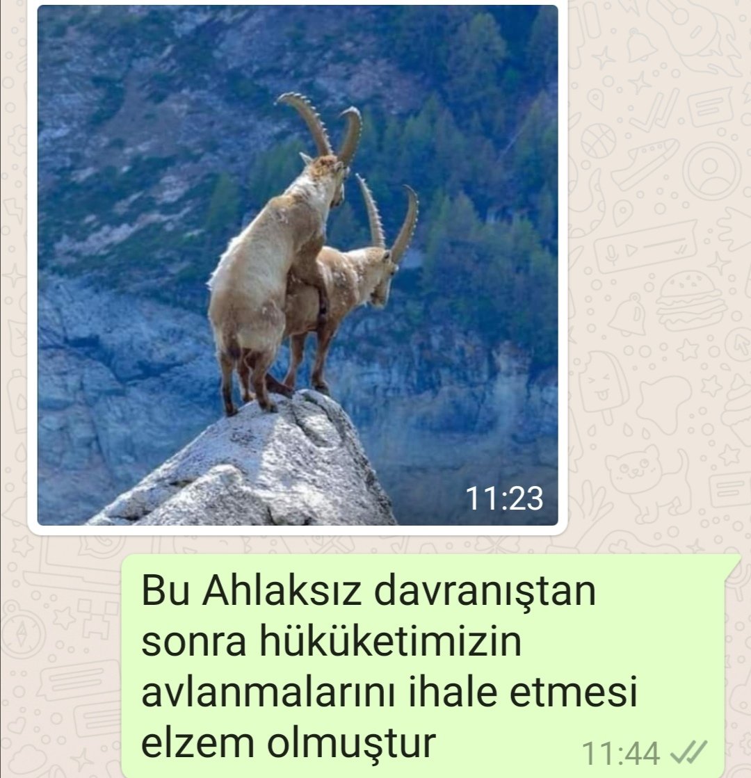 Şükrü (@21_sukru) on Twitter photo 