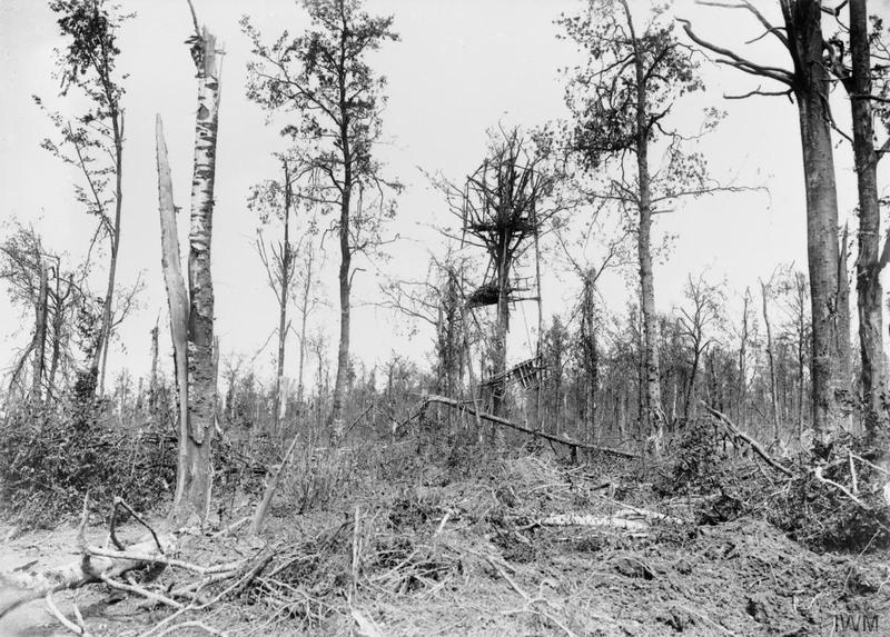 At 9.55pm he was lying on his front, peering through the blasted and broken trees of Caterpillar Wood. He was acting as a Forward Observation Officer (FOO) trying to work out exact firing coordinates for his guns, when an enemy shell landed close to him.