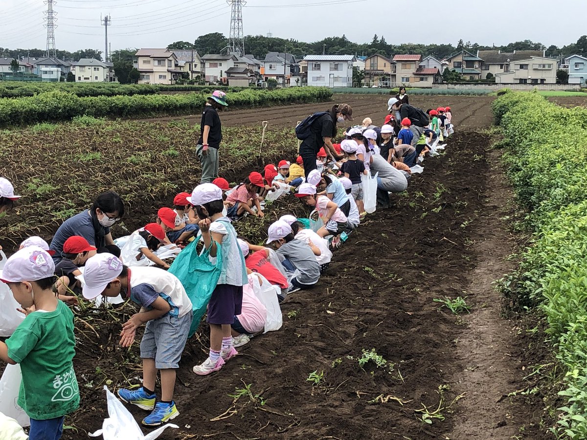 所沢北田農園 Ichigo Marche Twitter