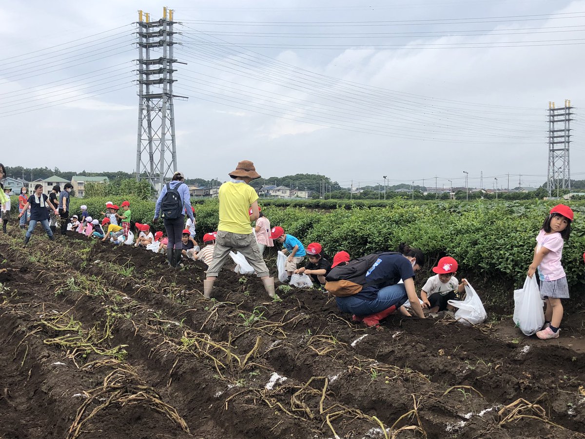 所沢北田農園 Ichigo Marche Twitter