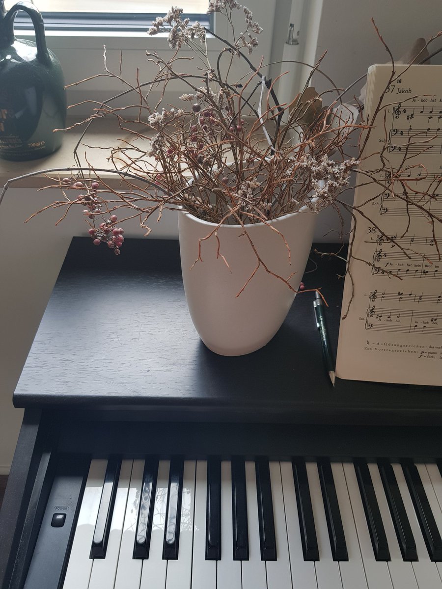 MarionFiedlerTN's tweet image. Good morning, world! #pianotime