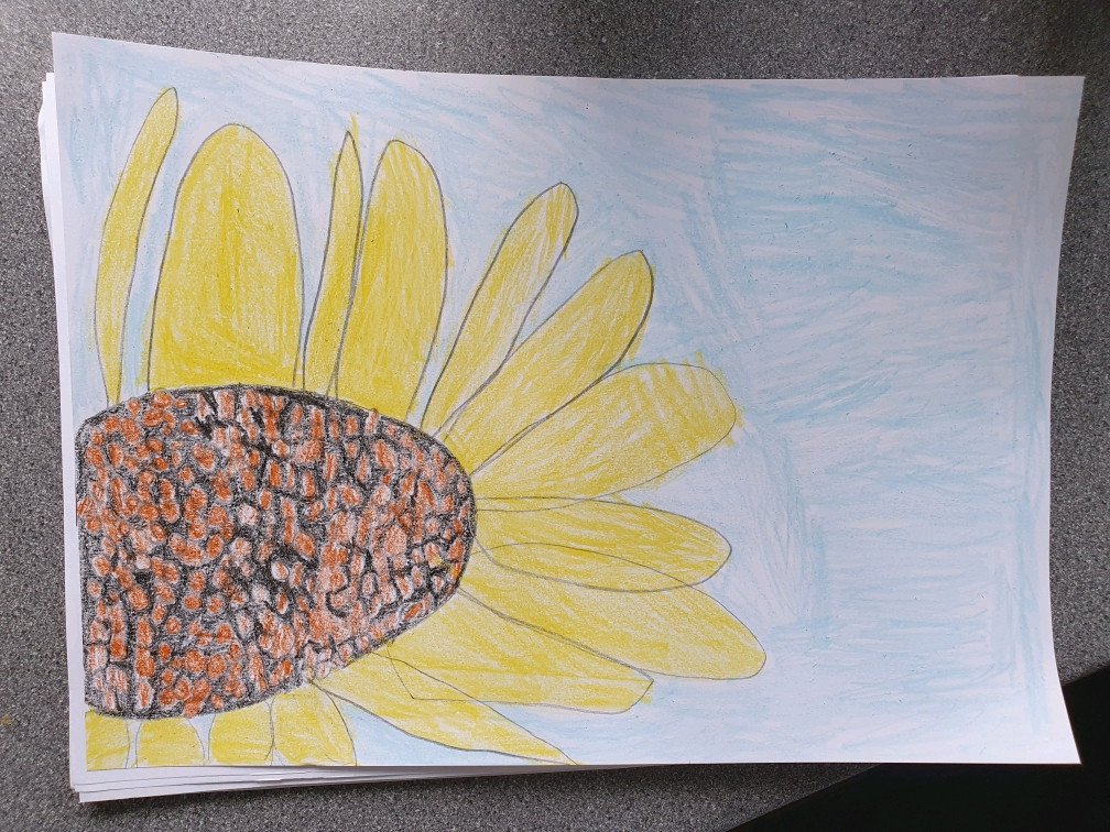 Barrell_SMCA's tweet photo. Some more of Ciara's hard work include this beautiful artwork, inspired by Georgia O'Keefe and her research into the continent of Australia. 🇦🇺🌏🌻 https://t.co/WavbBRnCMl