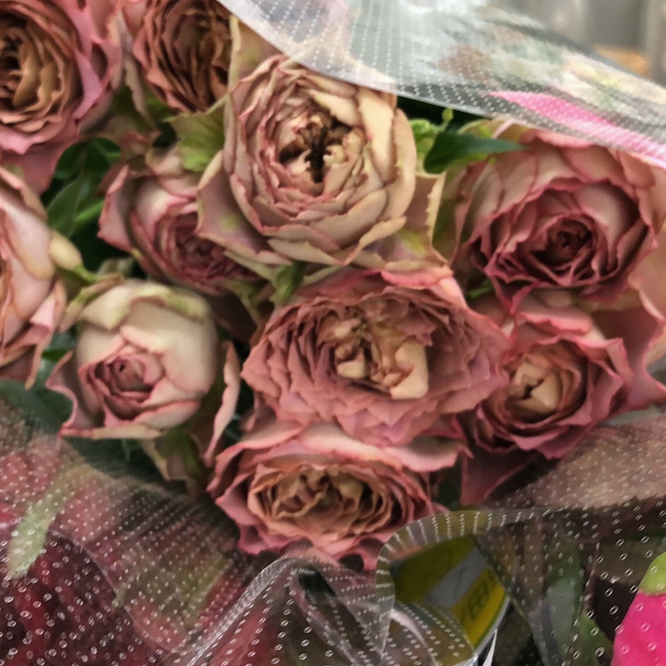 テナチュール Twitter Search