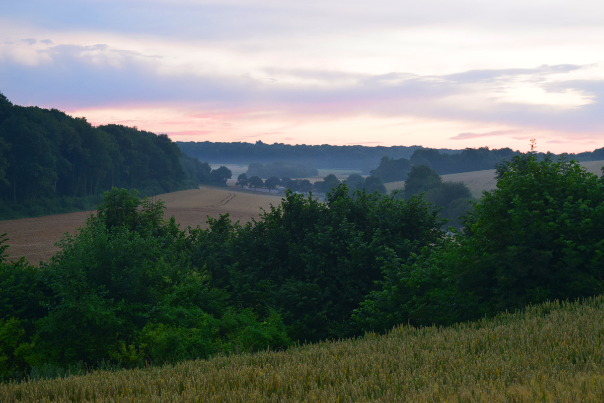 A group of us visited Mametz in 2016 to mark the centenary. Huge thanks to Iain McHenry for his research into what happened to my Great Grandfather & thank you again, Jeremy for helping to put it into context, in person, in 2016.