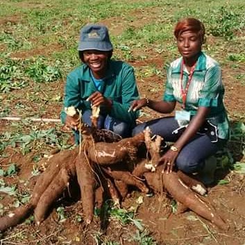 James Legg tweet media