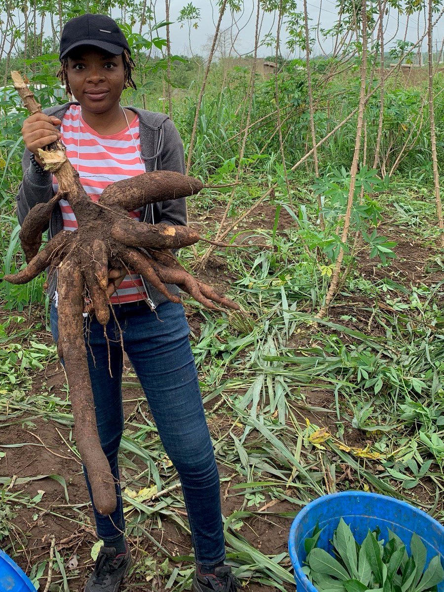 James Legg tweet media