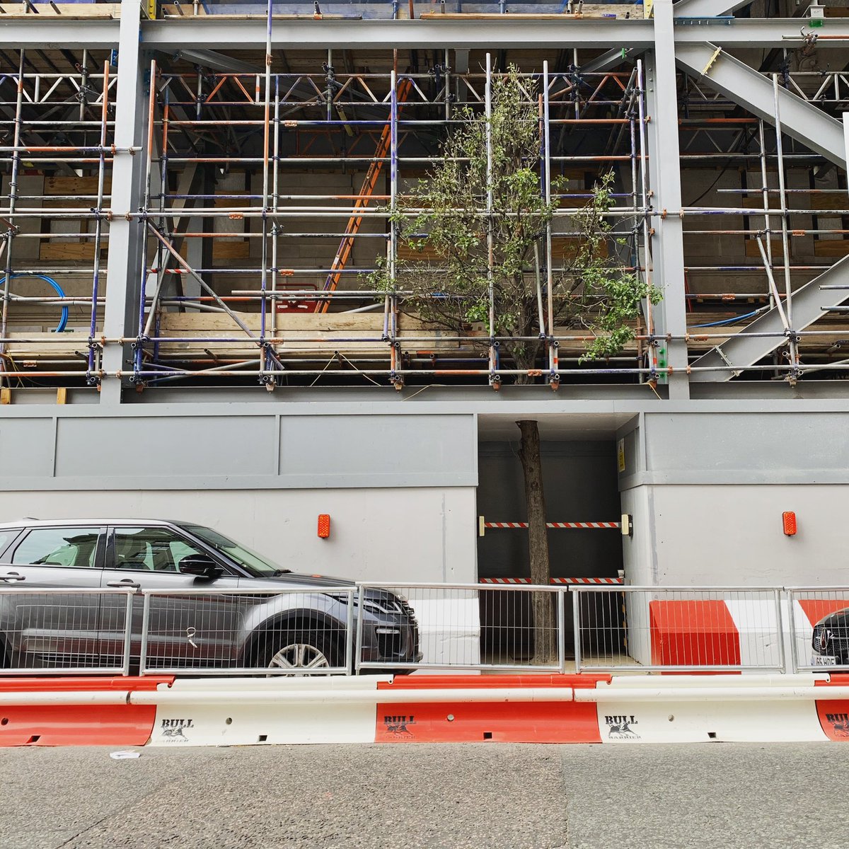 SEED Arboriculture tweet media