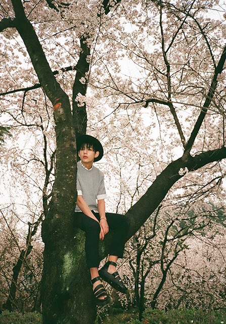 hwa yang yeon hwa era — a needed thread