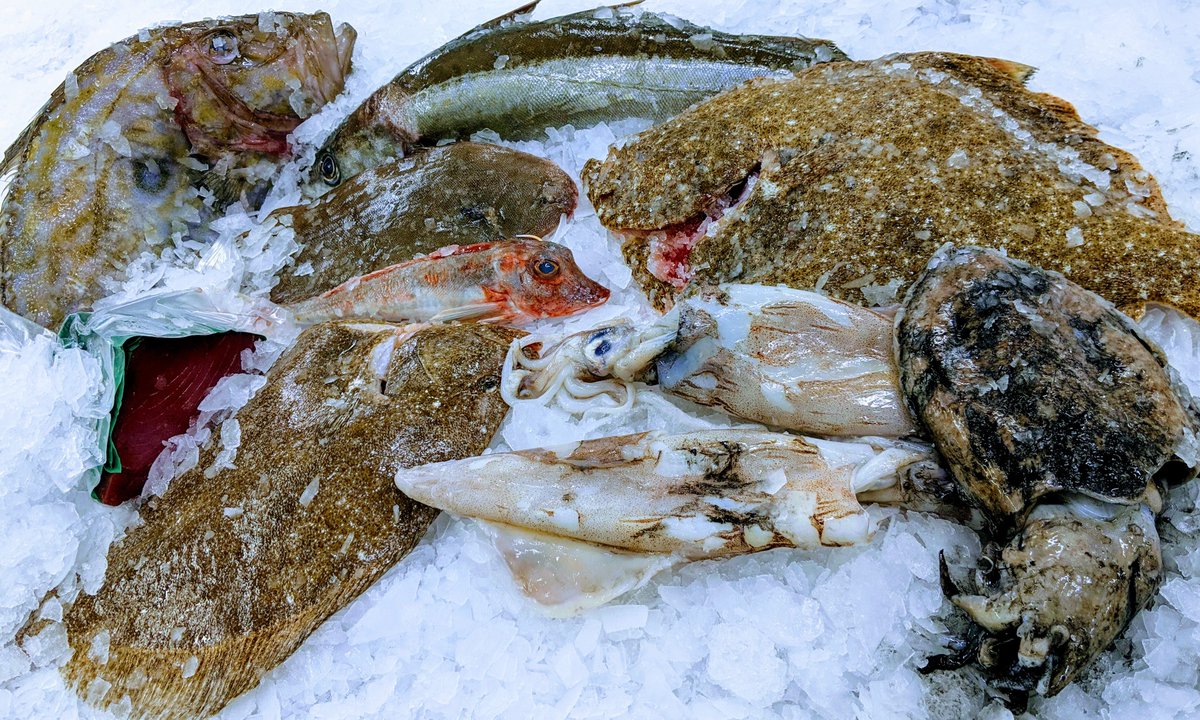We're seeing some great fish coming through James Knight, feels like things are on the up. 
Give our guys a call to see whats available for the weekend.
#Fish #fishmonger #sustainable #Dayboat