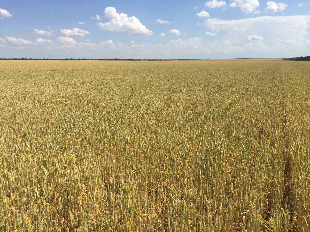 I'm very familiar with the regions of Ukraine where irrigation would be established; low rainfall, light soils, large flat fields, and very high evapotranspiration rates.